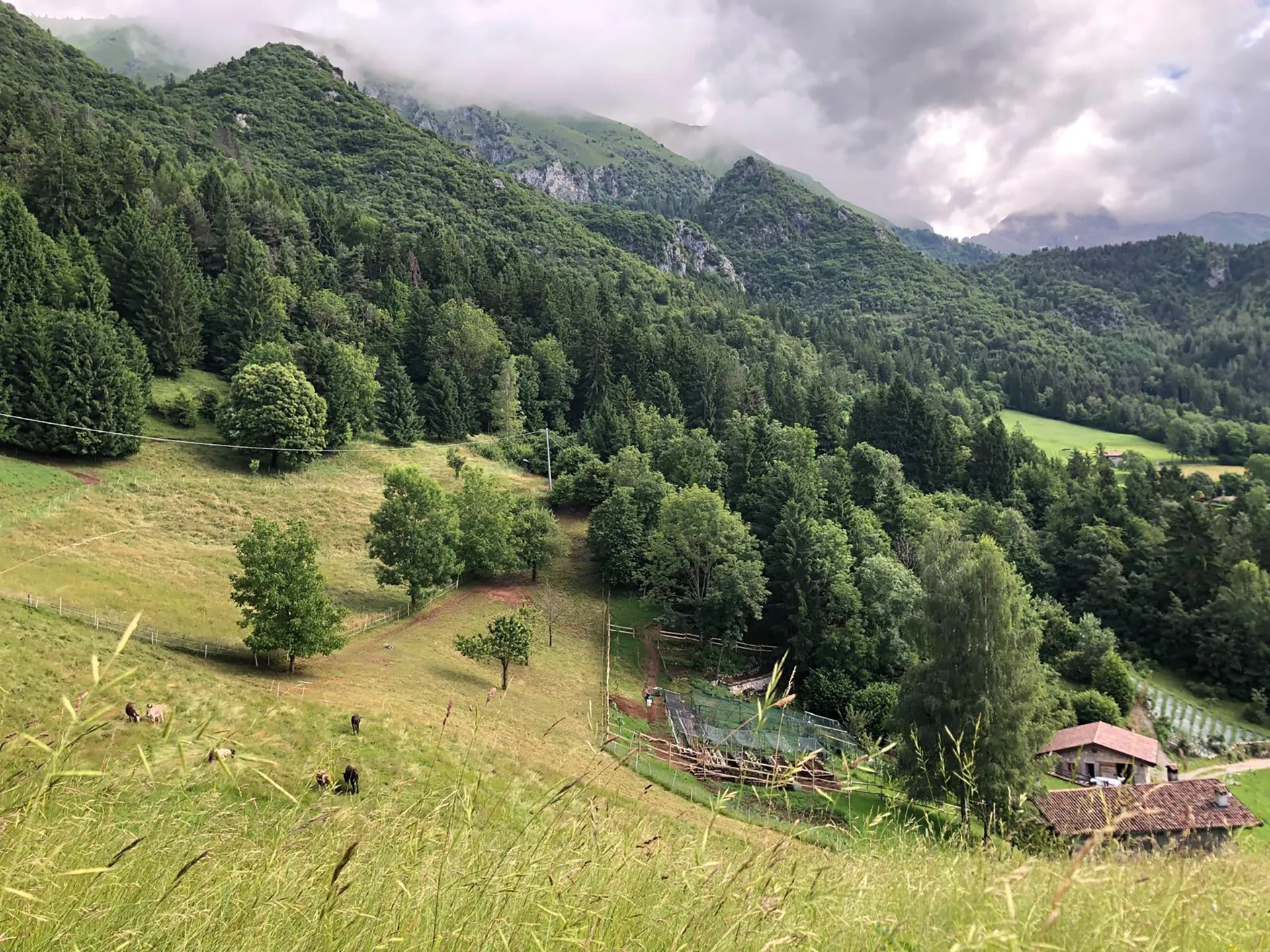 La Quercia E Il Frassino Location