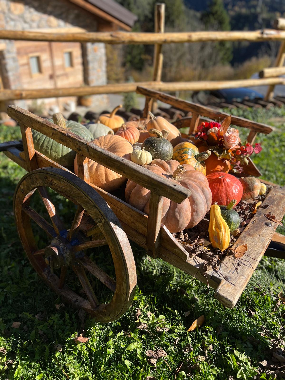 WhatsApp Image 2026 01 07 At 15.51.34