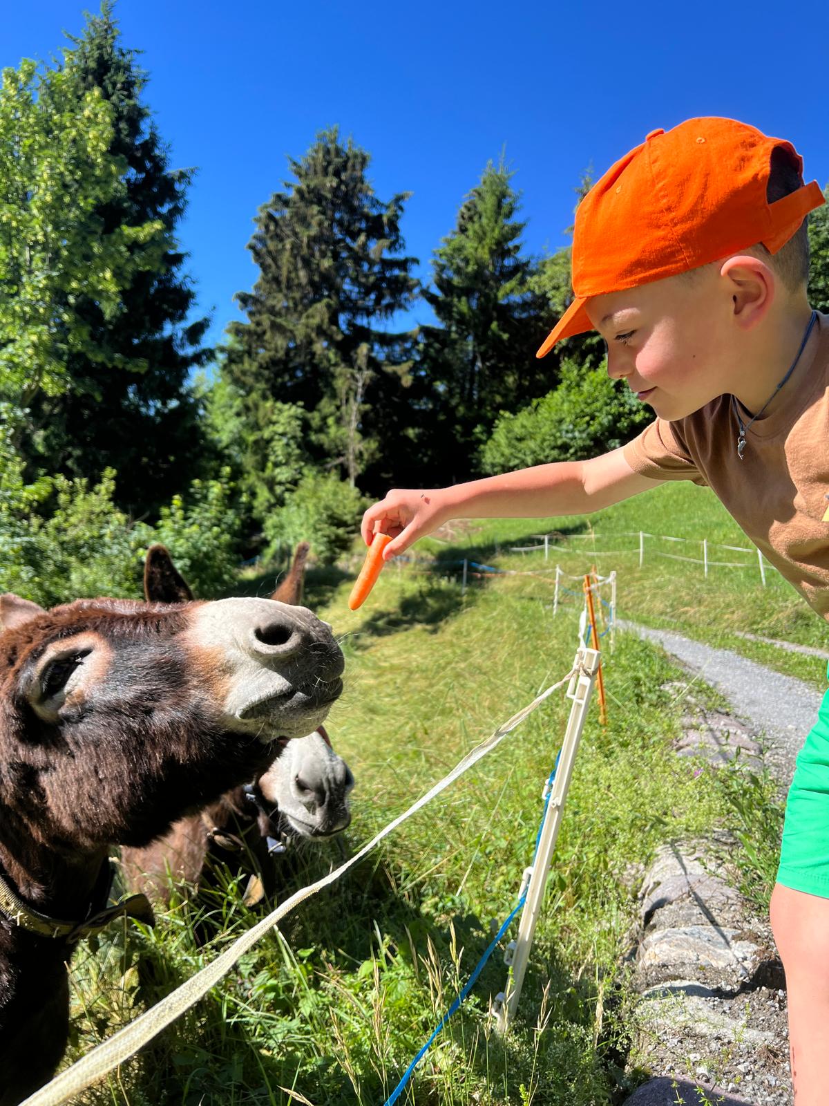FILIPPO CON ASINI